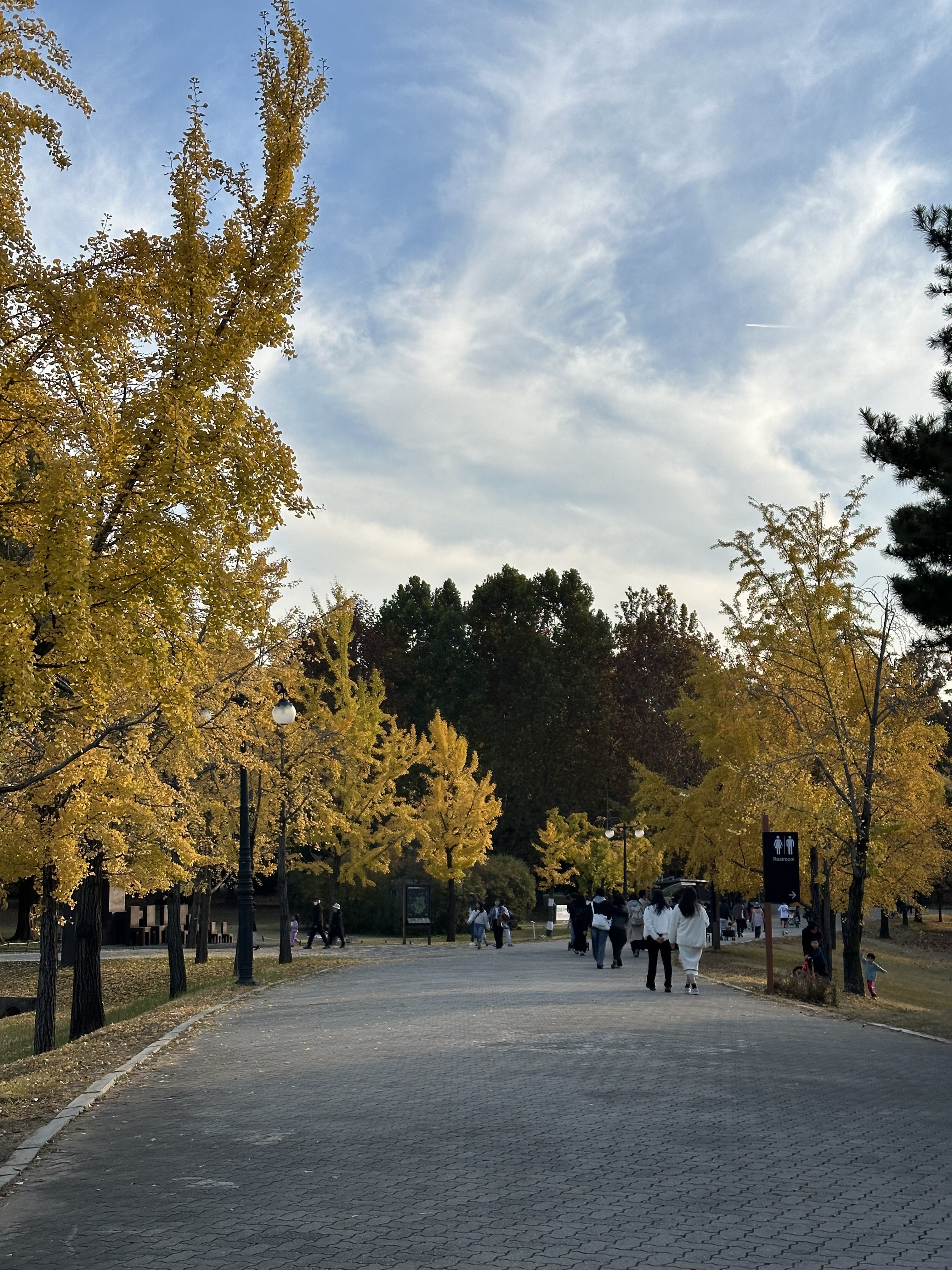 Olympic Park in Autumn in Seoul: A Local’s Guide to the City’s Most Underrated Fall Walk